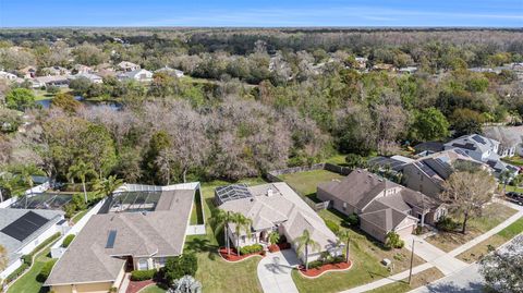 A home in LAND O LAKES