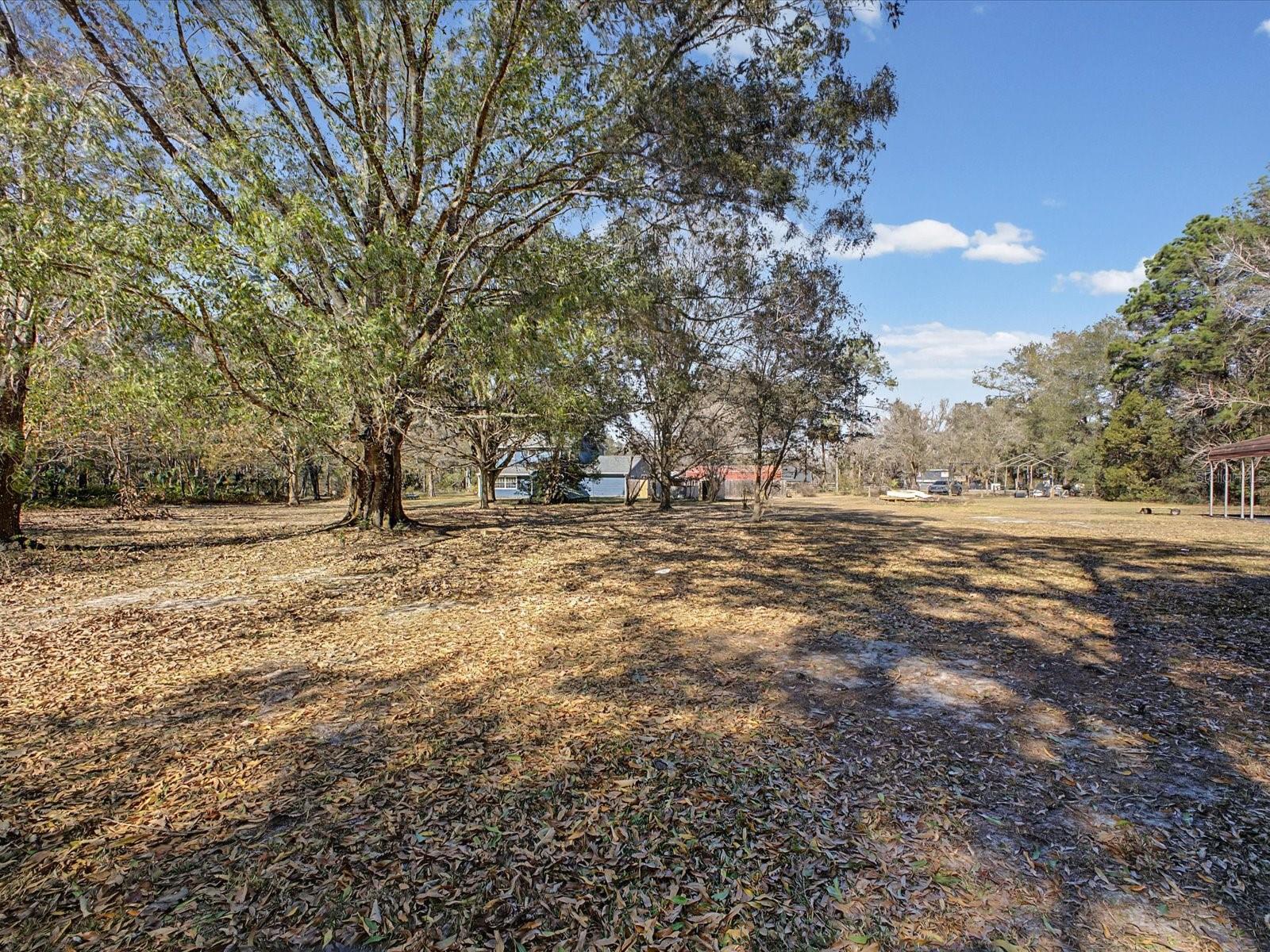 SPRING LAKE AREA - Residential