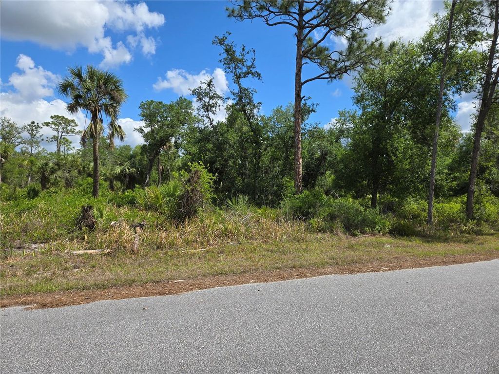 Photo of 14432 Mcmillin Avenue, Port Charlotte, FL 33953 (MLS # D6141951)