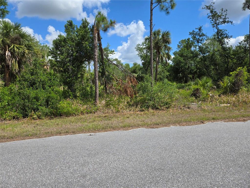 Photo of 14432 Mcmillin Avenue, Port Charlotte, FL 33953 (MLS # D6141951)