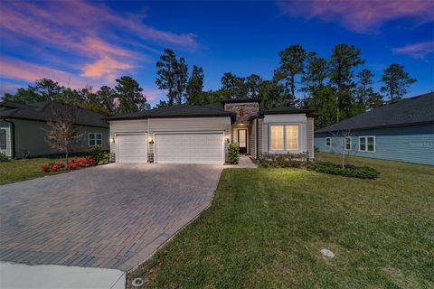 Photo of 1129 SE 42nd Road, Ocala, FL 34480 (MLS # OM715164)
