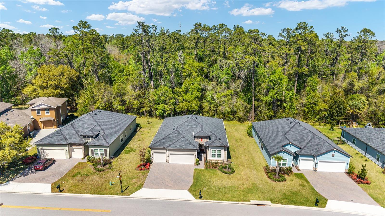 BELLECHASE OAK HAMMOCK - Residential