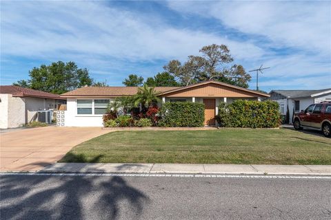 3337 DARLINGTON ROAD HOLIDAY FL 34691