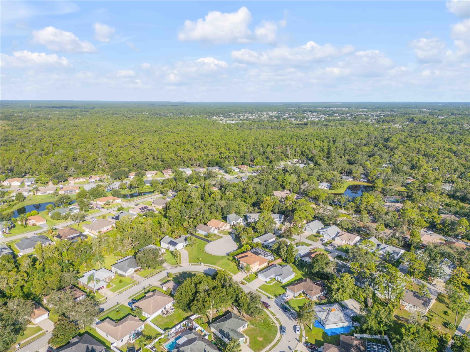SUMMER TREES UNIT 03D REP - Residential