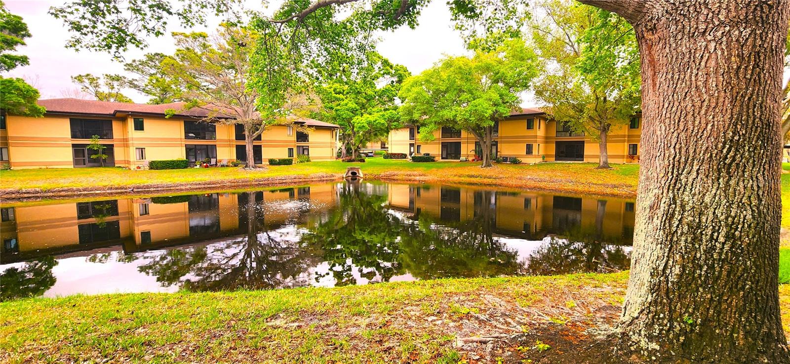 MISTY SPGS CONDO - Residential Lease