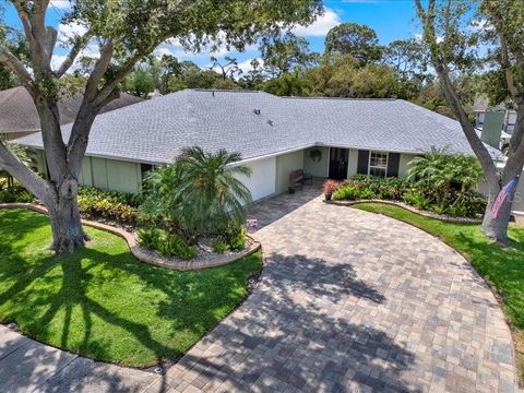 13186 LINDEN PLACE DRIVE SEMINOLE FL 33776