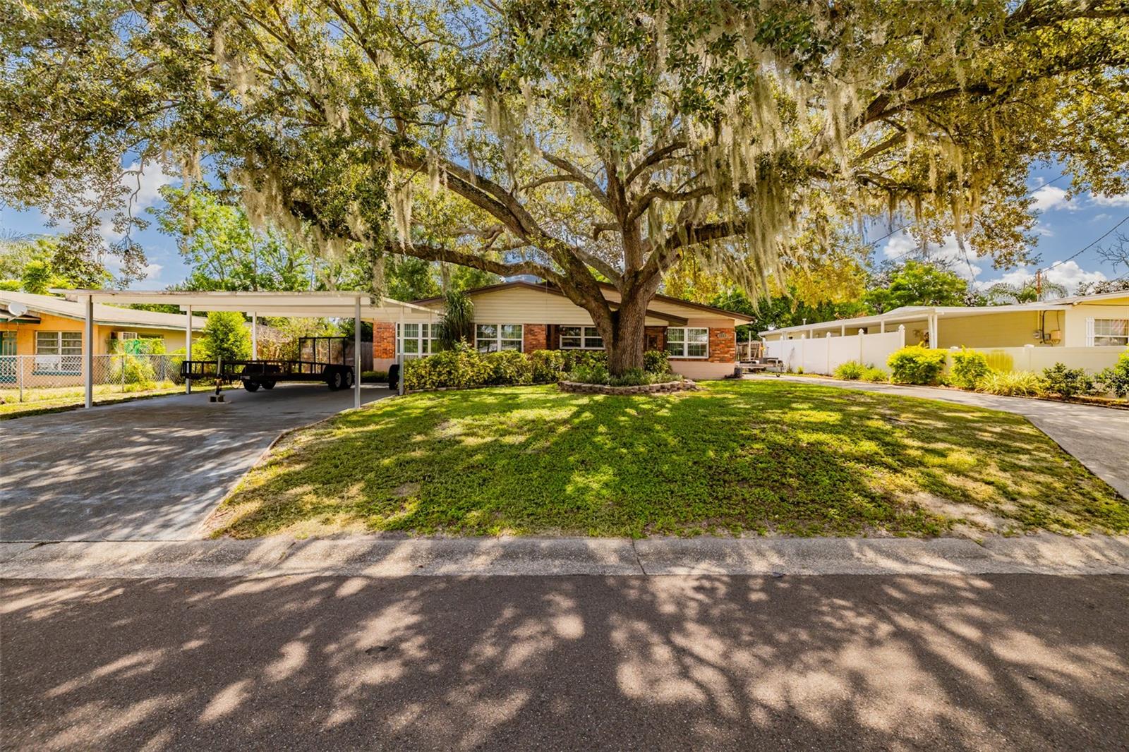 1205 W CAMELLIA DRIVE