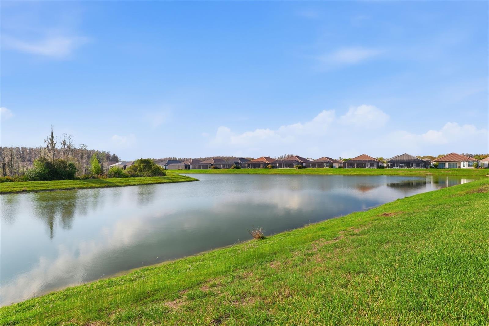 ESPLANADE/WIREGRASS RANCH PH - Residential