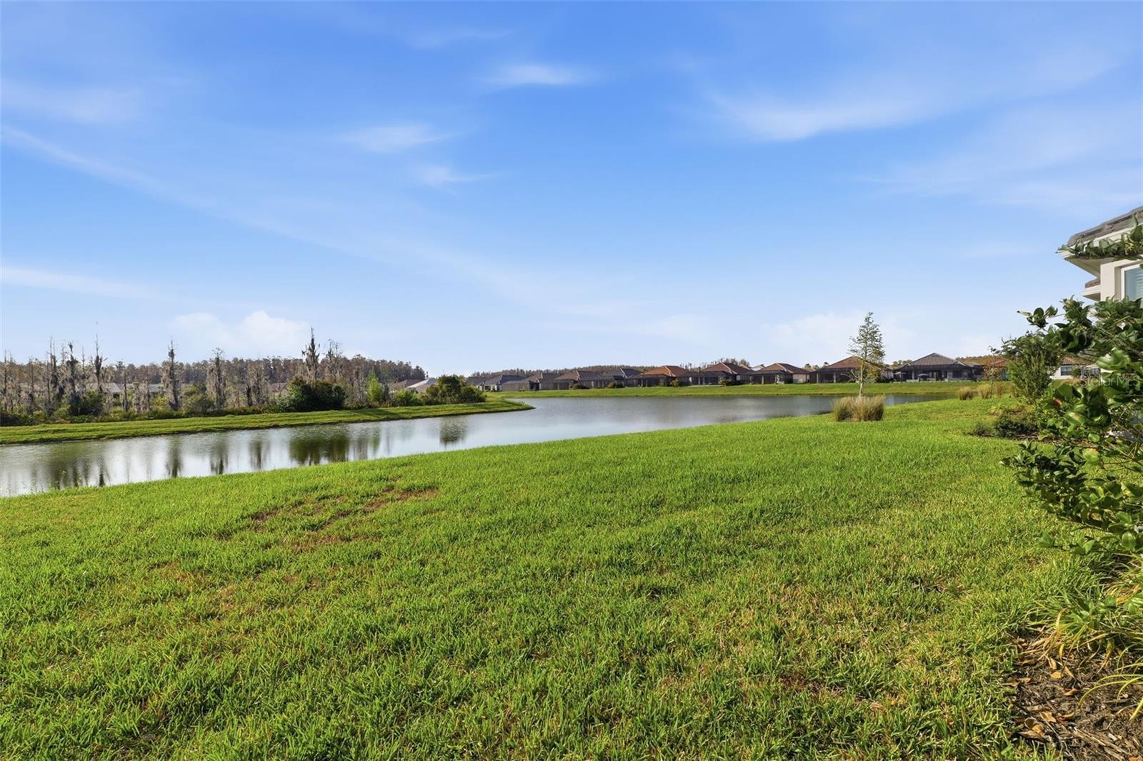 ESPLANADE/WIREGRASS RANCH PH - Residential