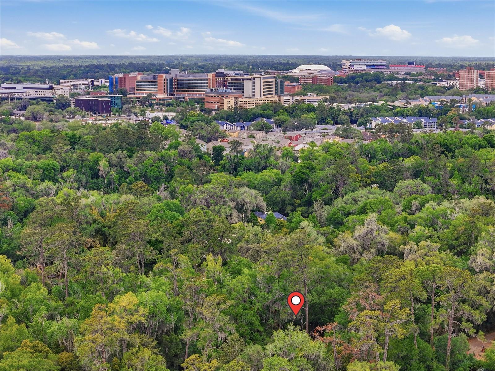 CLINCH GRANT D L - Residential