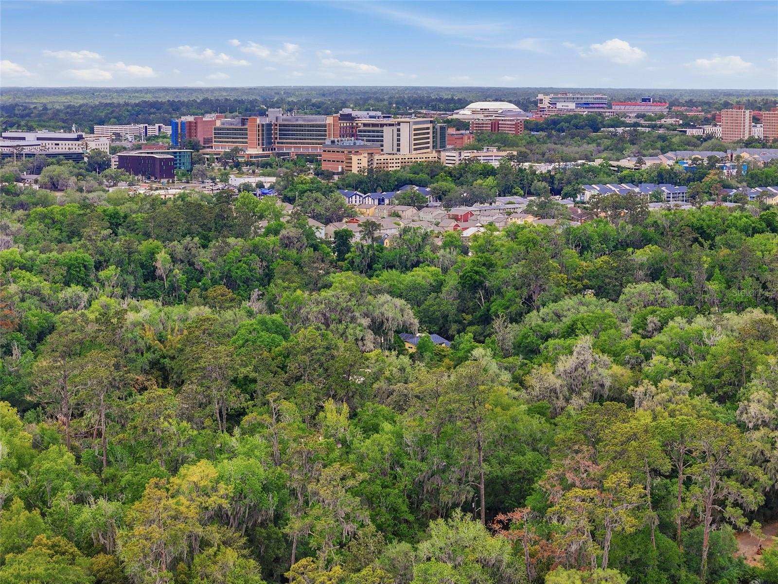 CLINCH GRANT D L - Residential