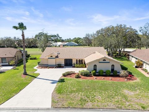 Photo of 9630 Southern Belle Drive, Weeki Wachee, FL 34613 (MLS # W7881775)