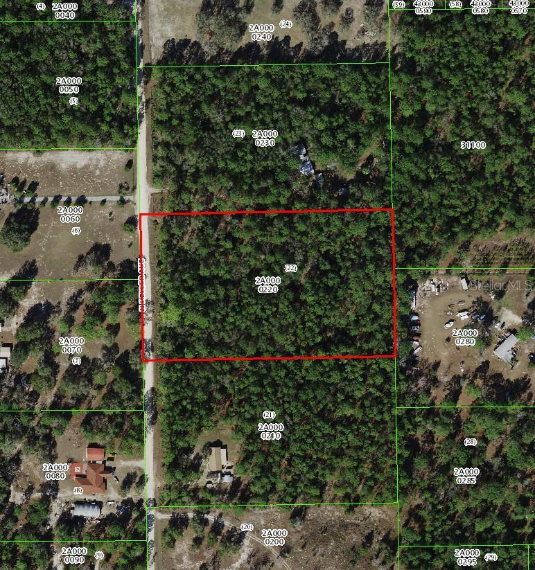 Photo of 7373 N Heller Avenue, Dunnellon, FL 34433 (MLS # TB8541642)