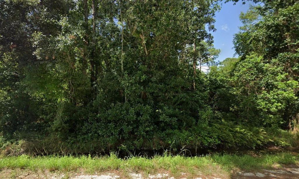 Photo of Tbd 10th Avenue, Deland, FL 32724 (MLS # K4903346)