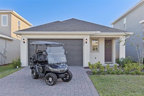 2221 JUNIPER BERRY DRIVE MINNEOLA FL 34715