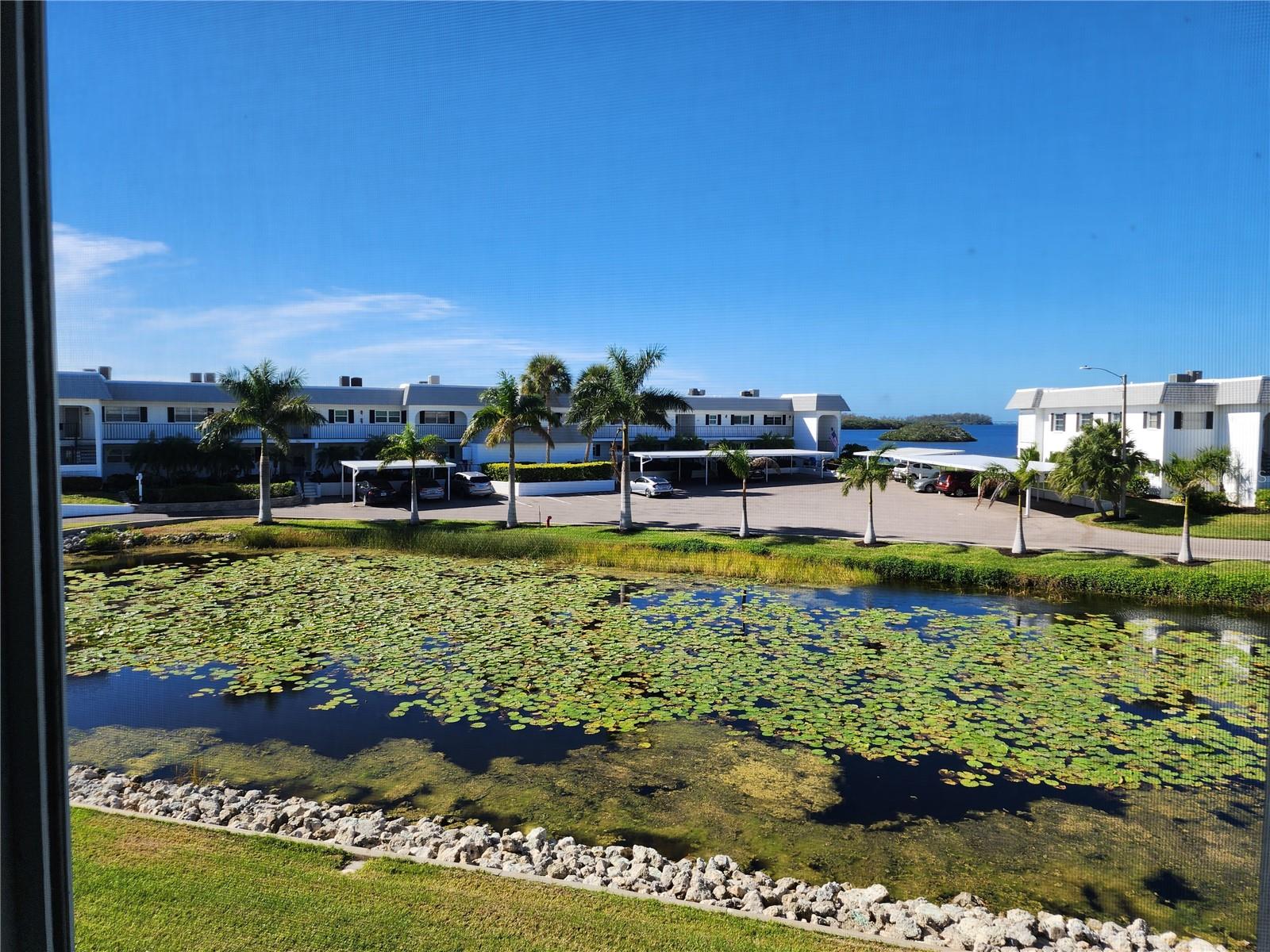 MOUNT VERNON PH 3 - Residential Lease