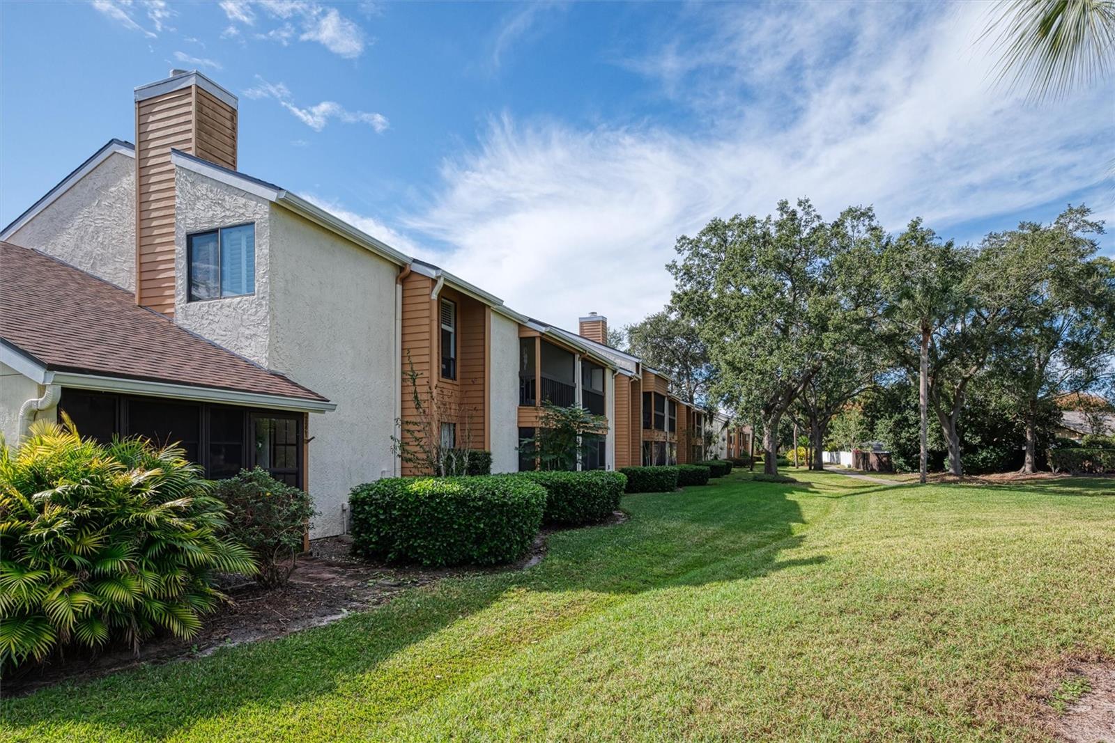 RAINTREE VILLAGE CONDO - Residential