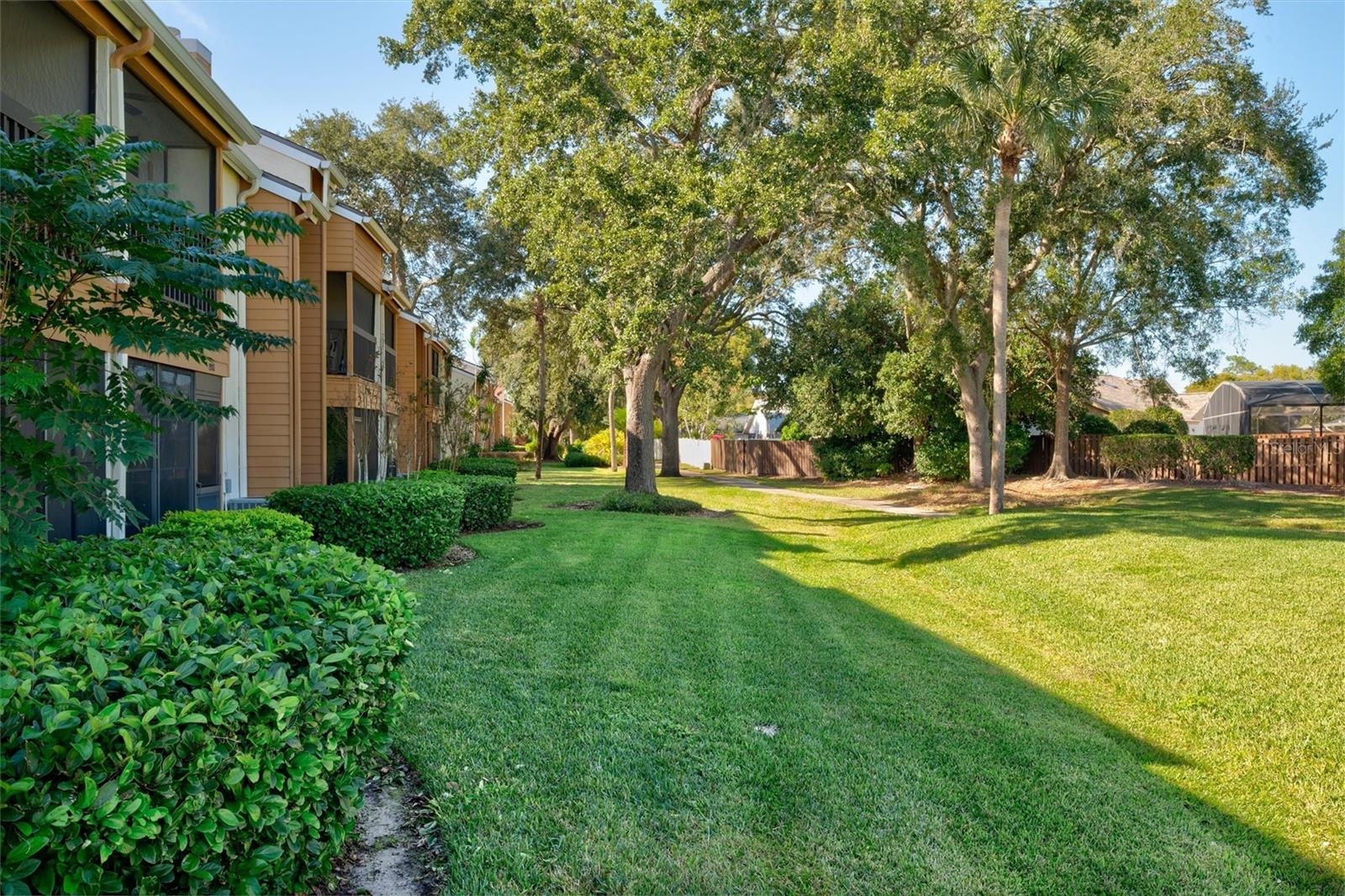 RAINTREE VILLAGE CONDO - Residential