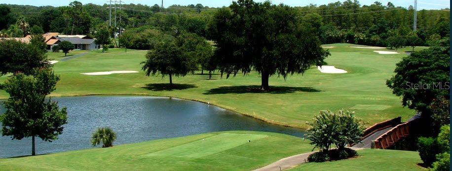 RAINTREE VILLAGE CONDO - Residential