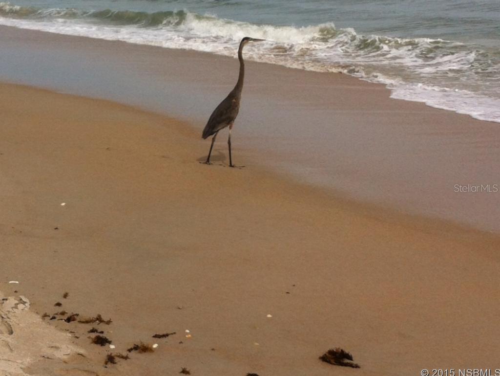 Coastal Waters Condo - Residential