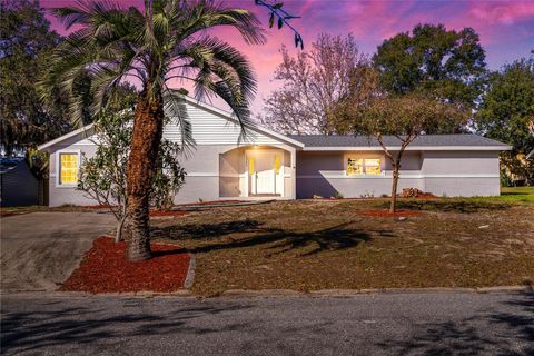 A home in WINTER GARDEN