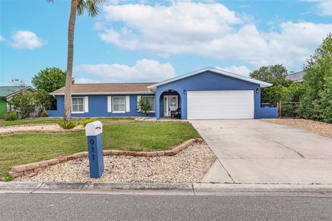 A home in APOLLO BEACH