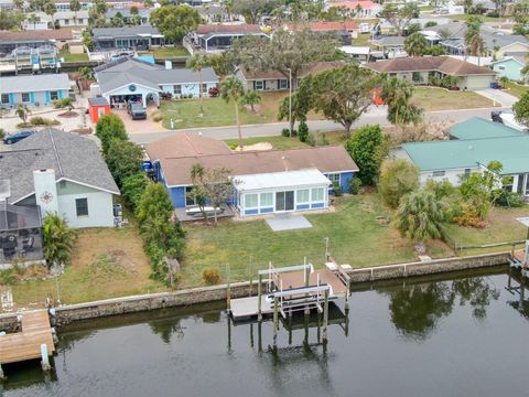 A home in APOLLO BEACH