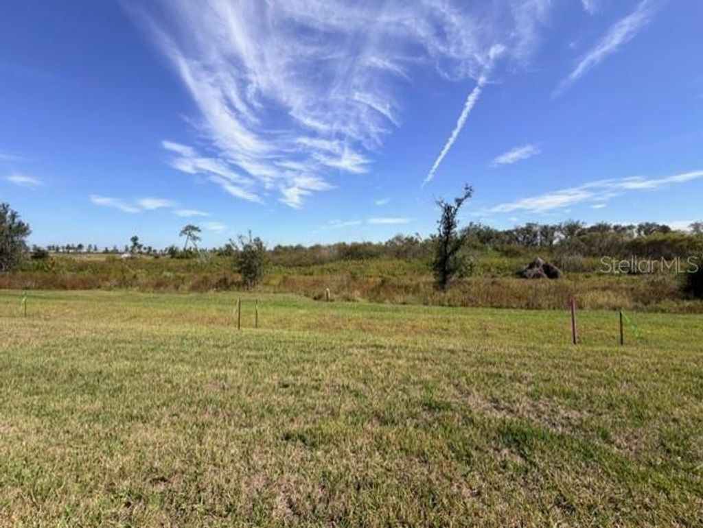 Photo of 18816 Indian Rock Place, Lakewood Ranch, FL 34211 (MLS # TB8474821)