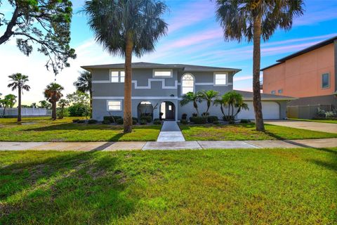 A home in TARPON SPRINGS