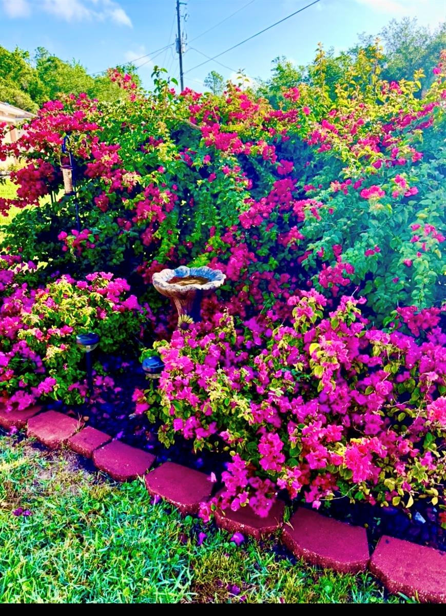 PORT CHARLOTTE SUB 34 - Residential