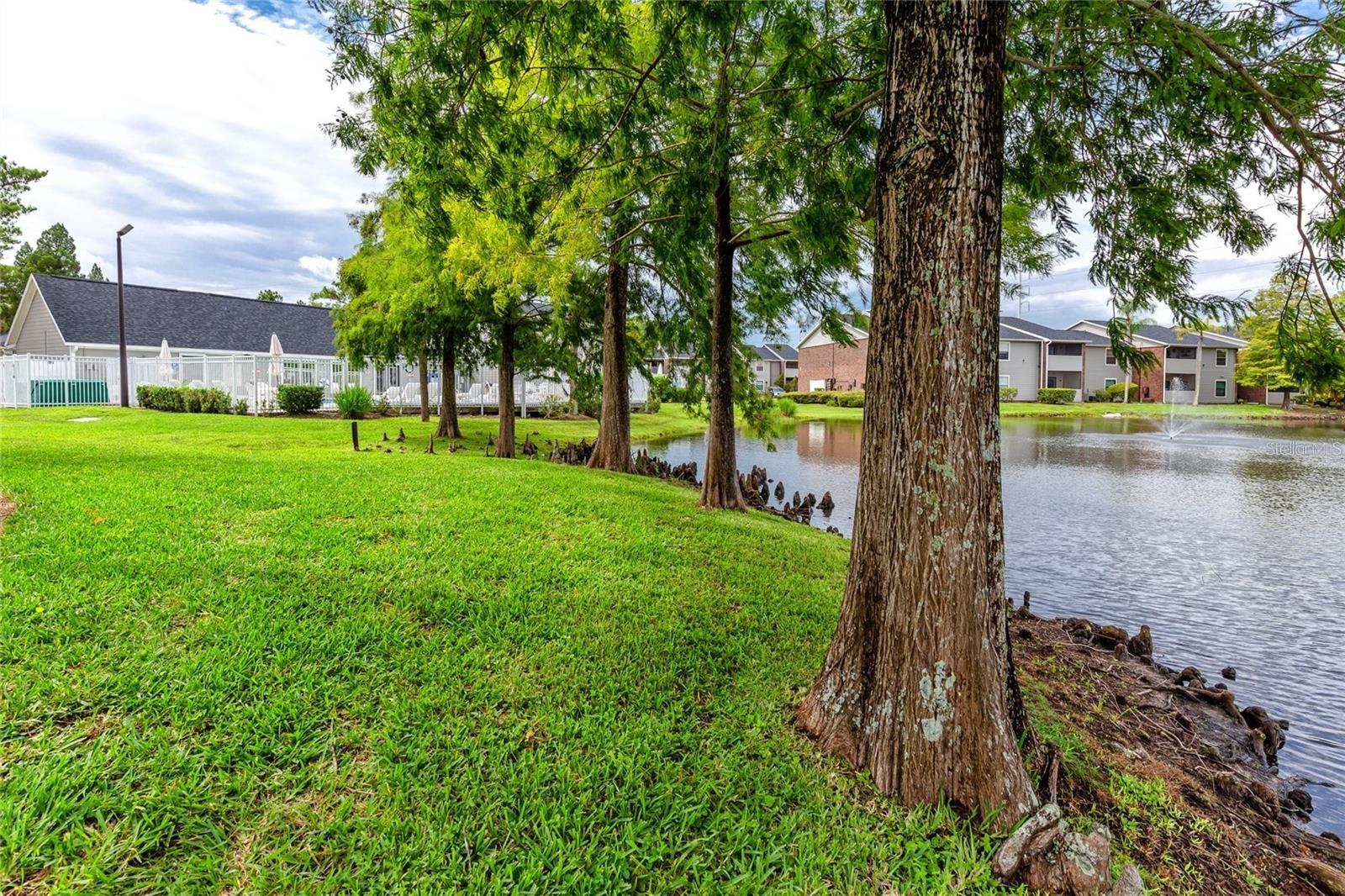 WINDJAMMER CONDO - Residential