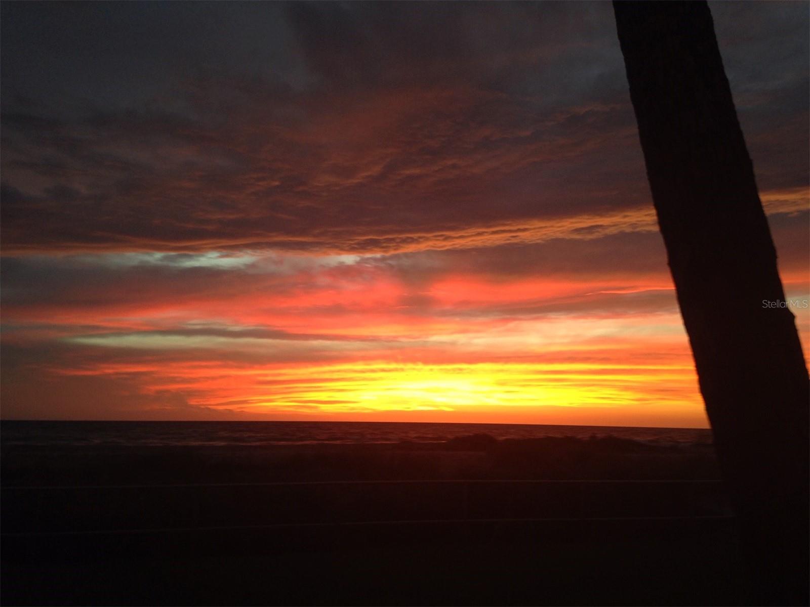 BIRD BAY V - Residential Lease