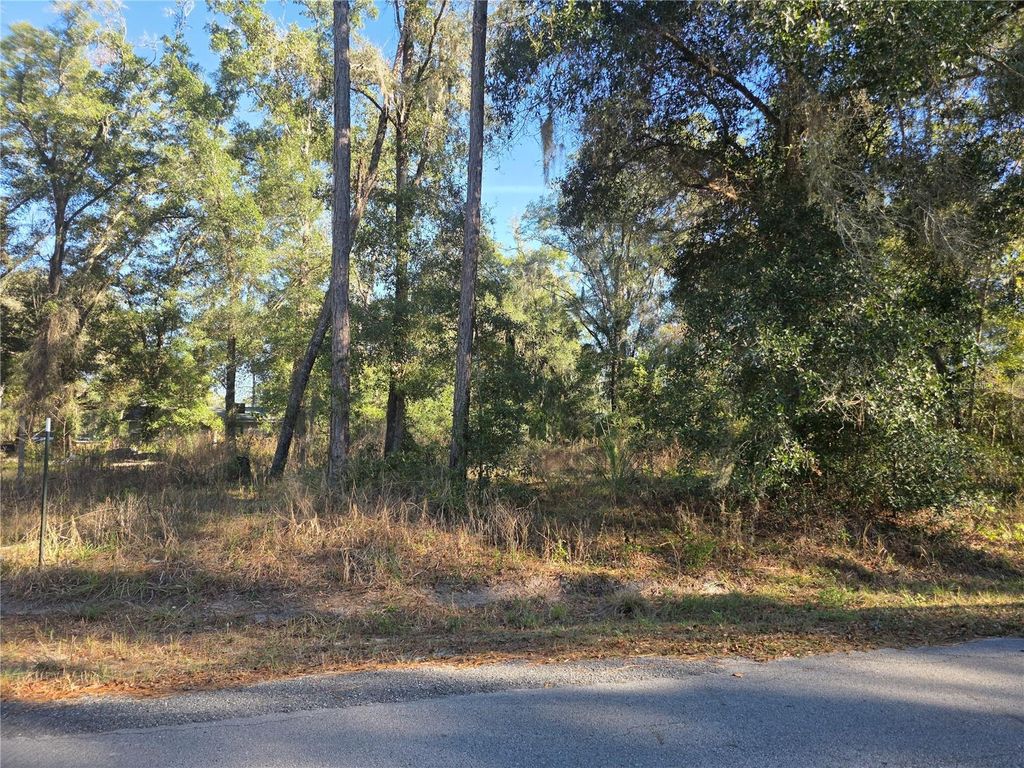 Photo of Tbd NW 120th Ave, Ocala, FL 34482 (MLS # OM715012)