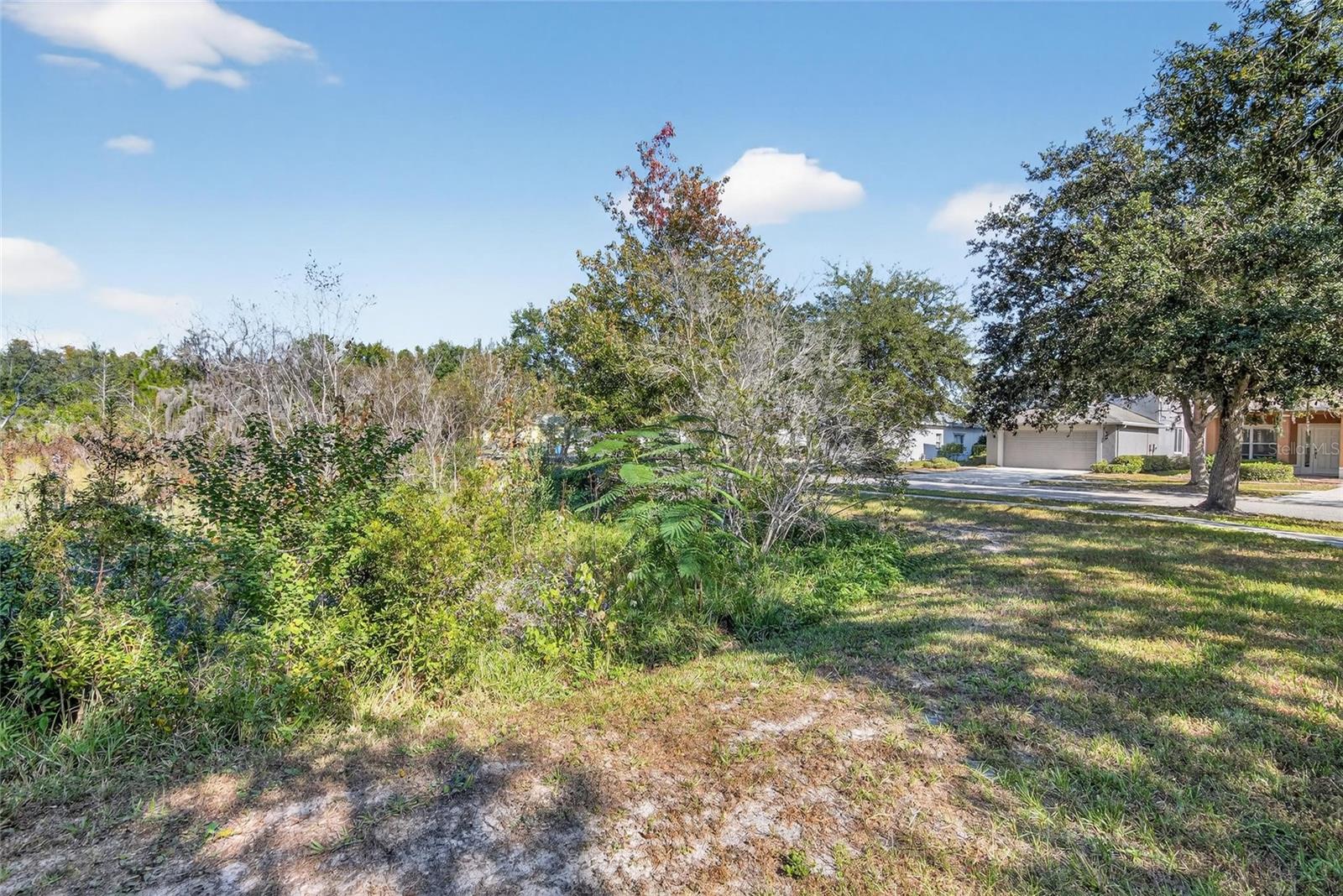 LIVE OAK PRESERVE PHASE 1C - Residential