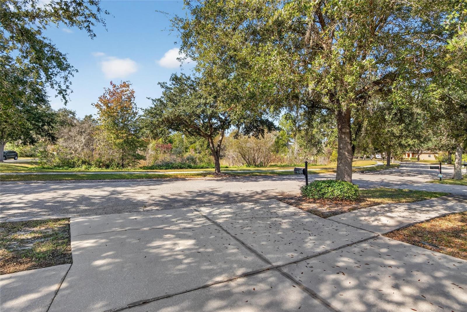 LIVE OAK PRESERVE PHASE 1C - Residential