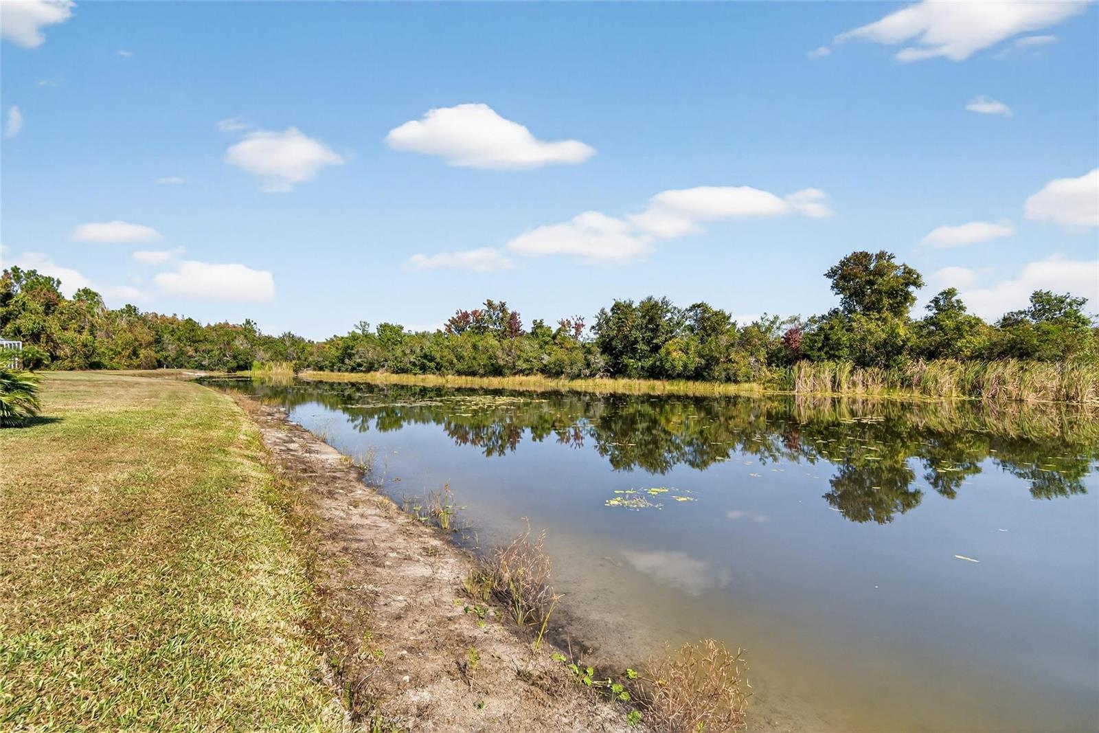 LIVE OAK PRESERVE PHASE 1C - Residential