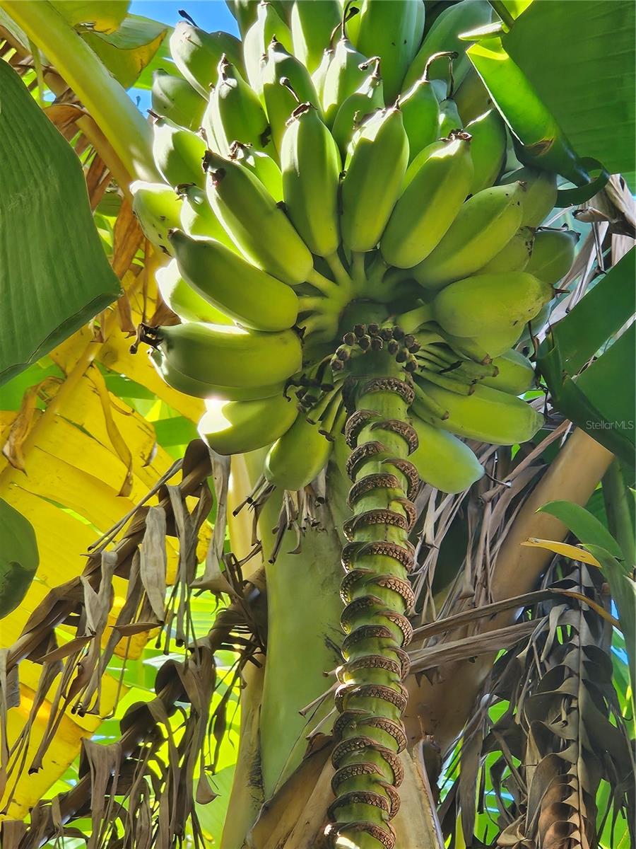 REFLECTIONS JULIANA - Residential