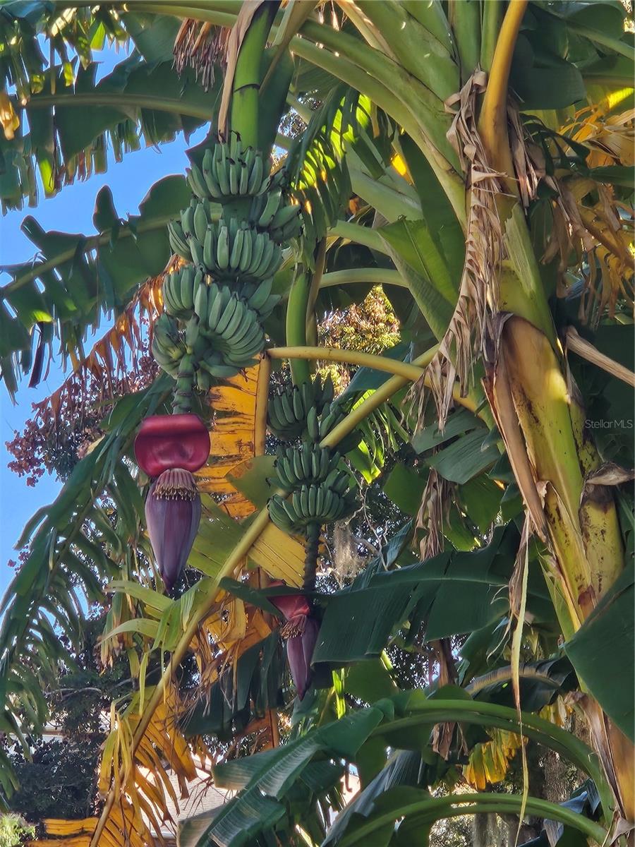 REFLECTIONS JULIANA - Residential