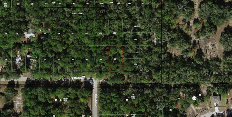 Almost a quarter acre, nicely wooded lot just outside the historic town of Dunnellon. All paved roads until you get within a few hundred feet of the property.  RUR zoning, check with Citrus County for building options.