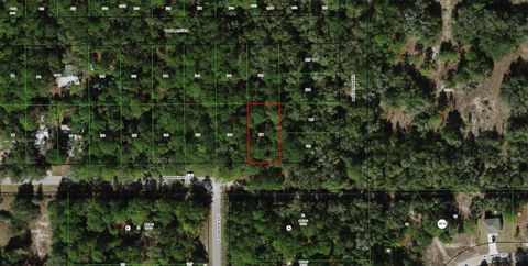 2797 W GRAPEVINE COURT DUNNELLON FL 34433