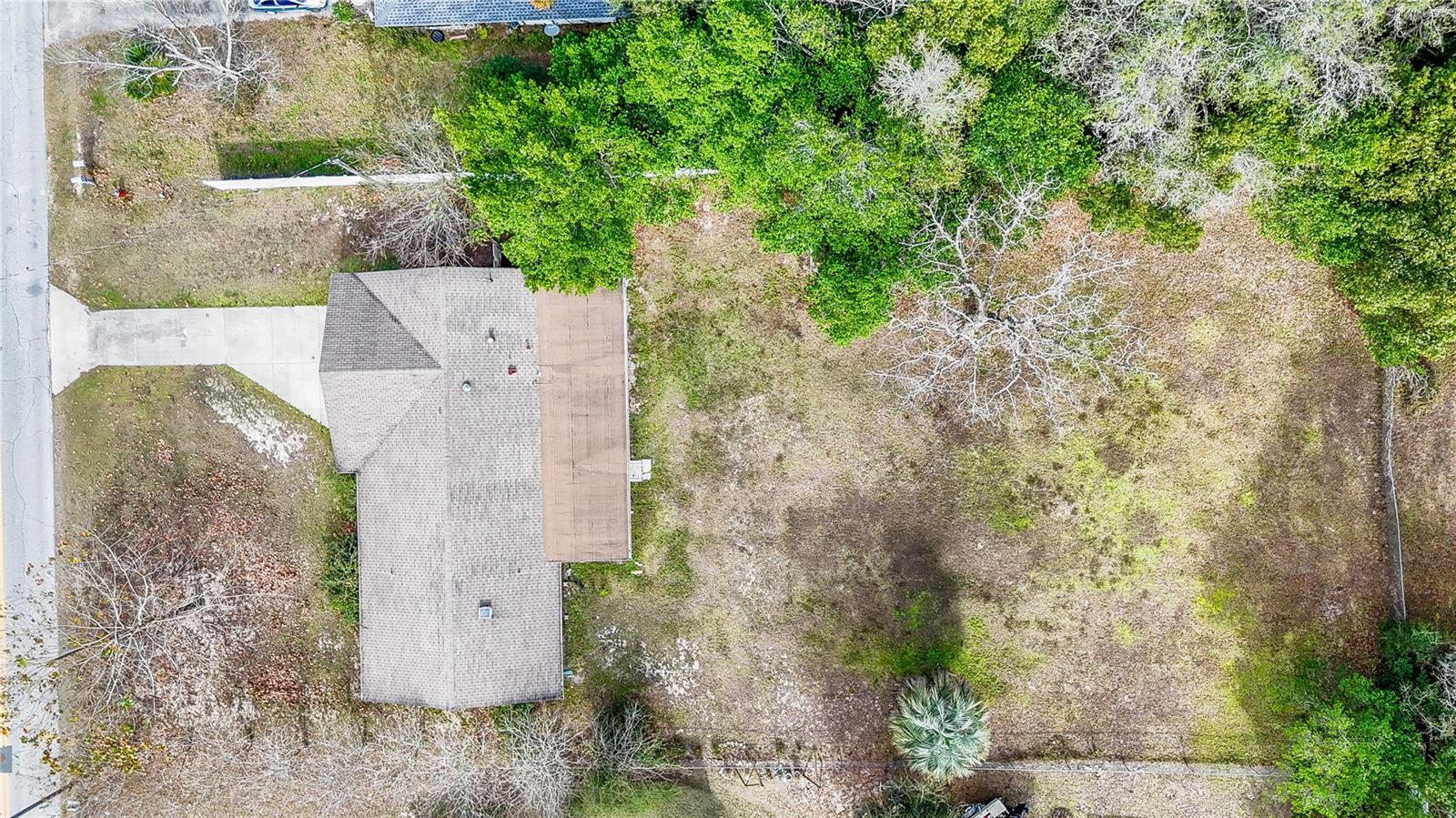 SILVER SPGS FOREST - Residential