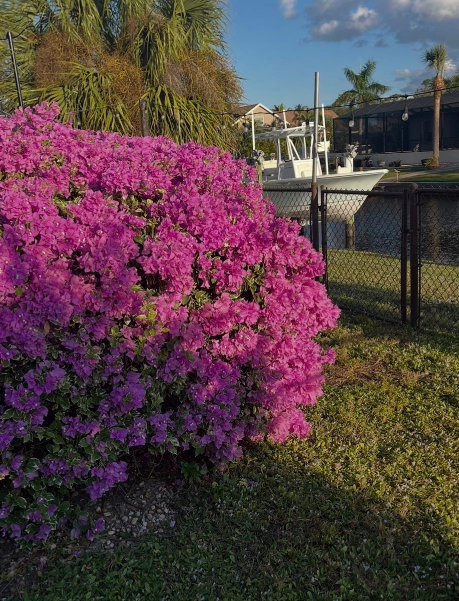 WYCHEWOOD SHORES - Residential