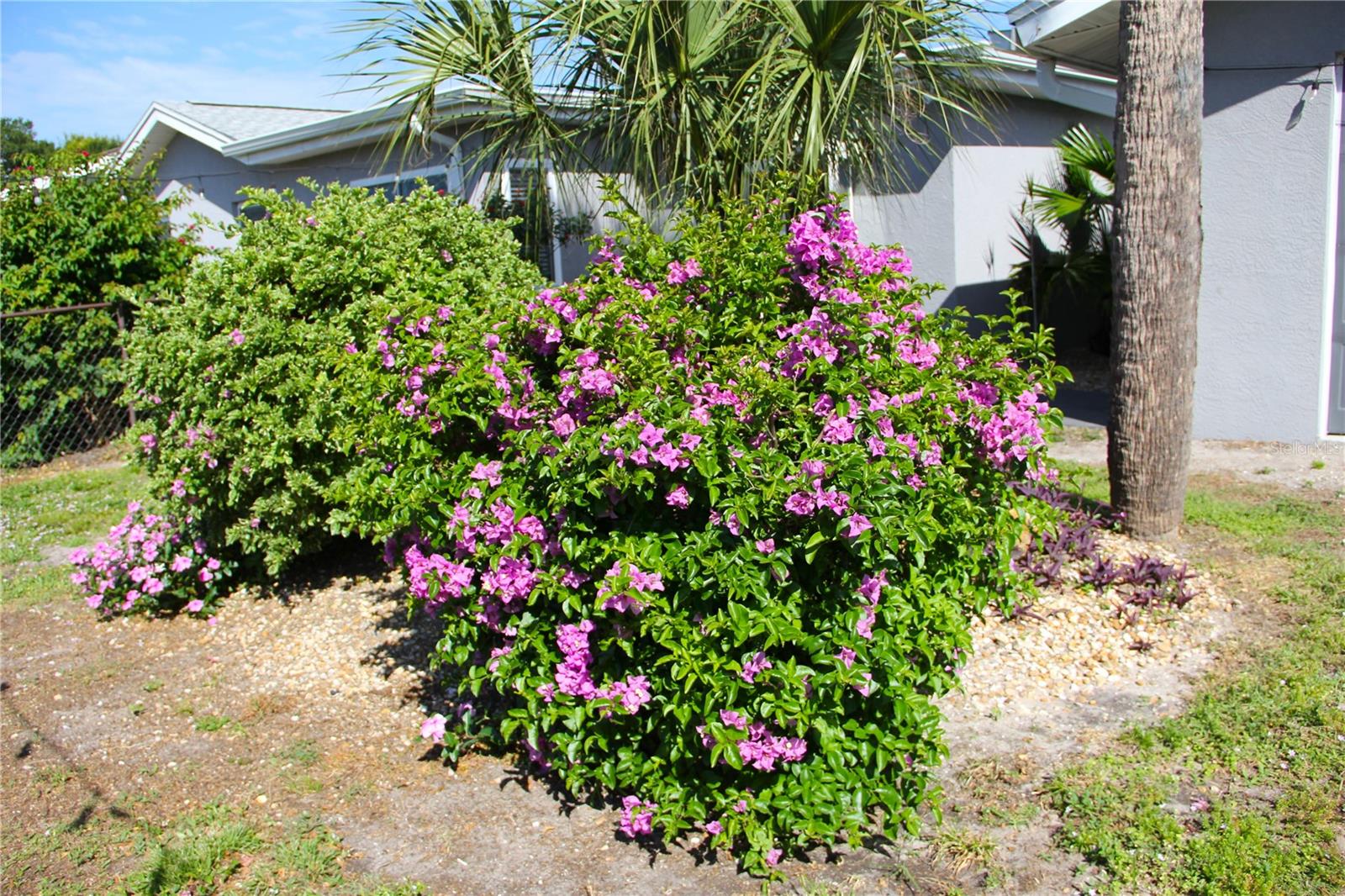 WYCHEWOOD SHORES - Residential