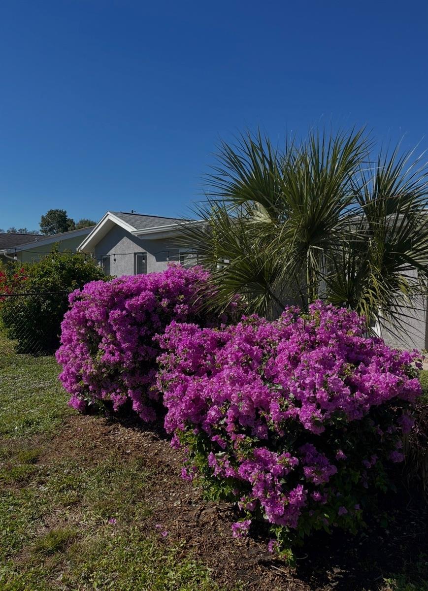 WYCHEWOOD SHORES - Residential