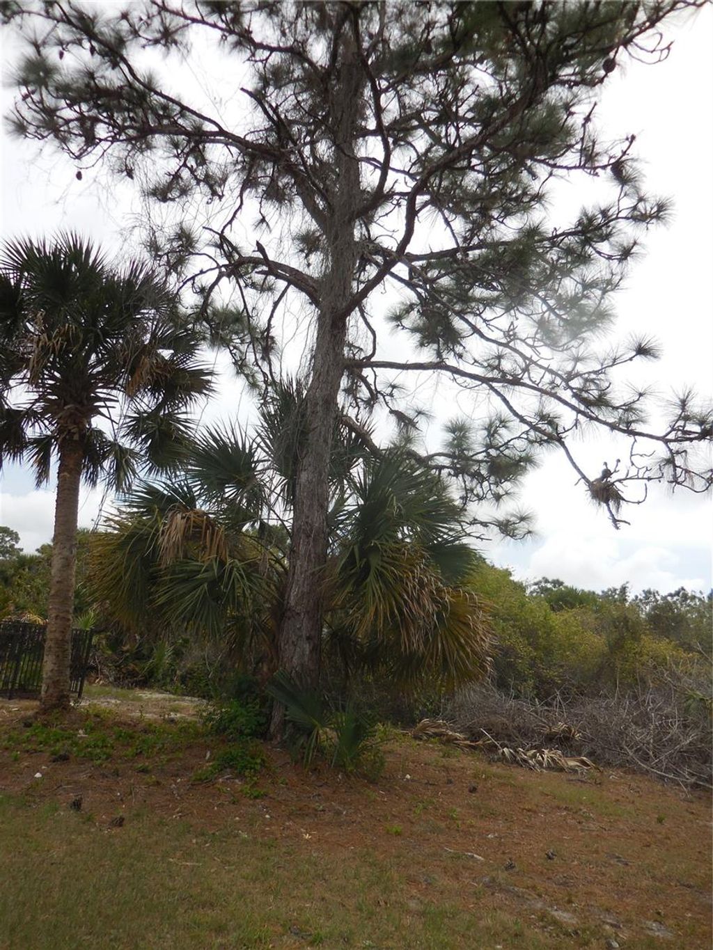 Photo of 223 Jennifer Drive, Rotonda West, FL 33947 (MLS # D6144484)