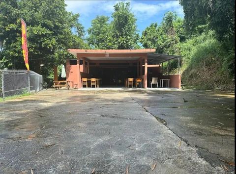 PARCEL #31 CAMINO RIO ABAJO PARCELA #31 CEIBA  00735