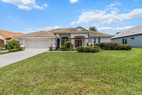 Photo of 251 W Mickey Mantle Path, Hernando, FL 34442 (MLS # OM705875)