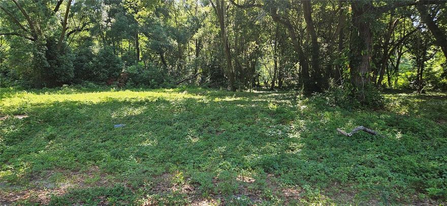 Build your dream home just minutes away from Downtown Ocala. This vacant lot is situated in a quiet neighborhood close to shopping, restaurants, and entertainment. Don't miss out on this great opportunity!