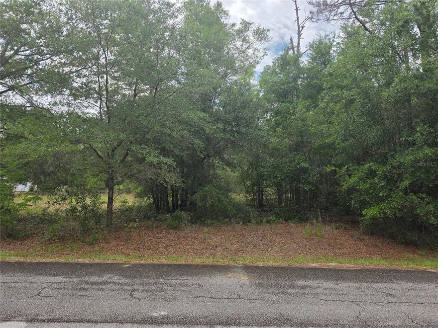 Build your dream home on this spacious 0.94-acre property offering the perfect blend of privacy and convenience! Located on a paved road with power available, this oversized lot provides an excellent opportunity for a custom home, investment property, or future getaway. Enjoy the peaceful surroundings while still being close to shopping, dining, schools, parks, and major roadways for easy access to nearby cities and attractions. With plenty of room for outdoor living, boats, or additional features, this property gives you the flexibility to create the lifestyle you’ve been looking for. Don’t miss this prime piece of land with great potential in a growing area!