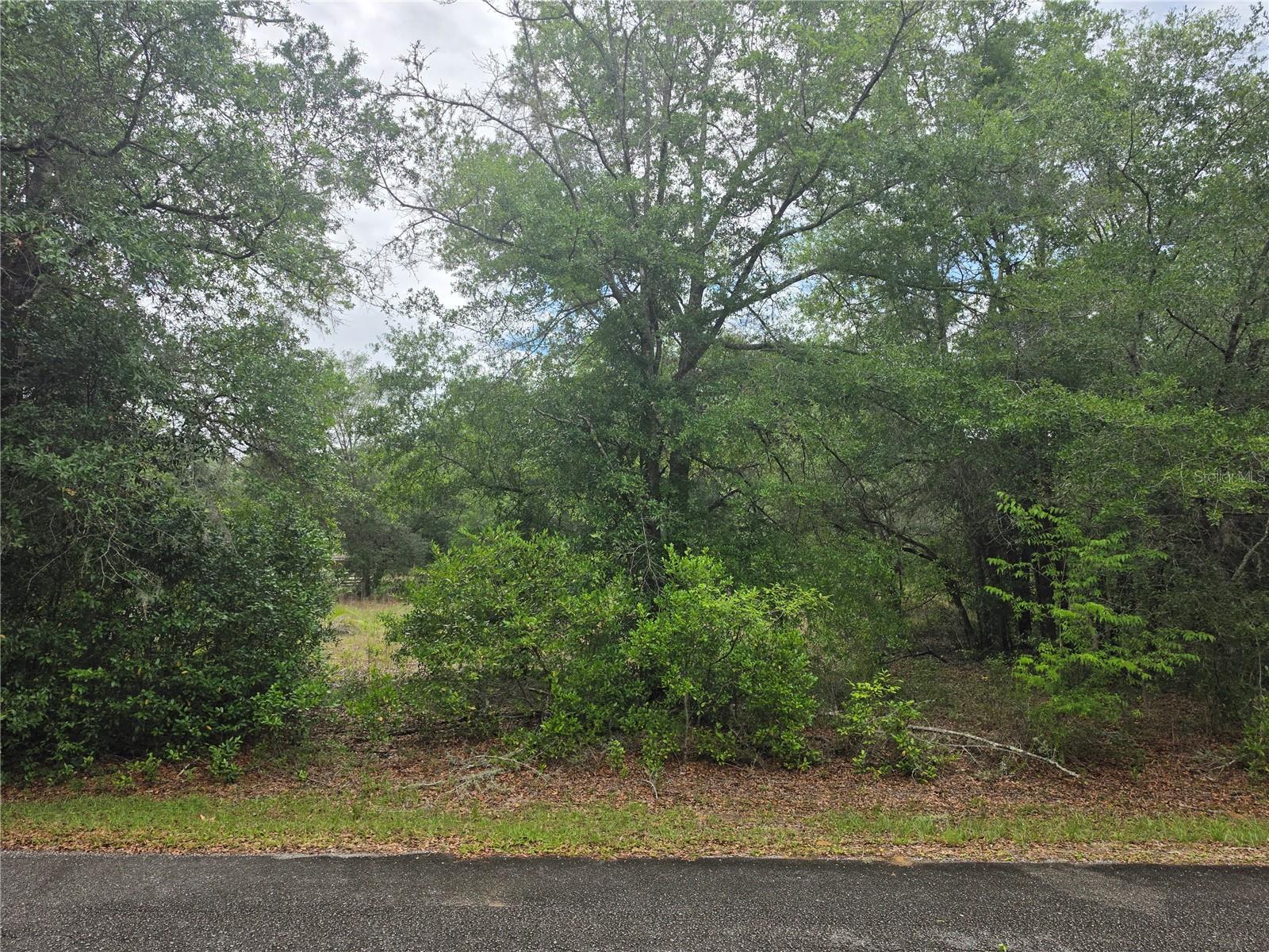 RAINBOW LAKE ESTATES SEC M - Land